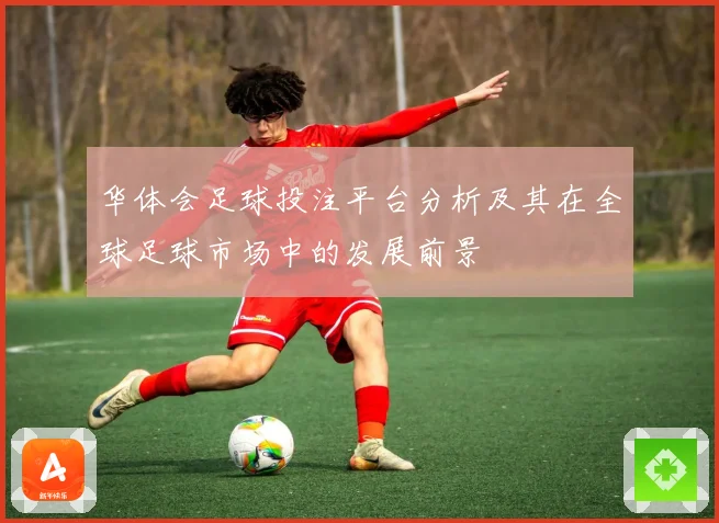 华体会足球投注平台分析及其在全球足球市场中的发展前景