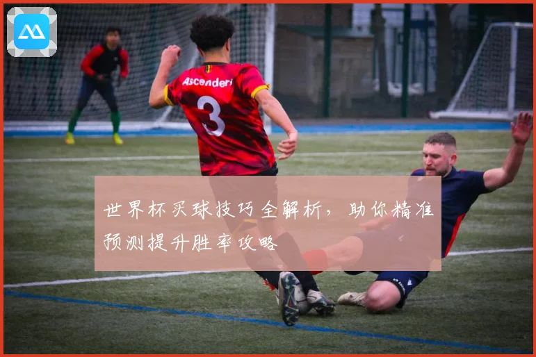 世界杯买球技巧全解析，助你精准预测提升胜率攻略