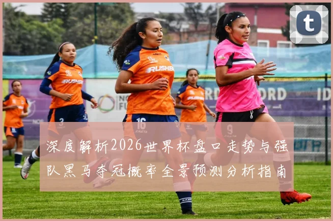 深度解析2026世界杯盘口走势与强队黑马夺冠概率全景预测分析指南