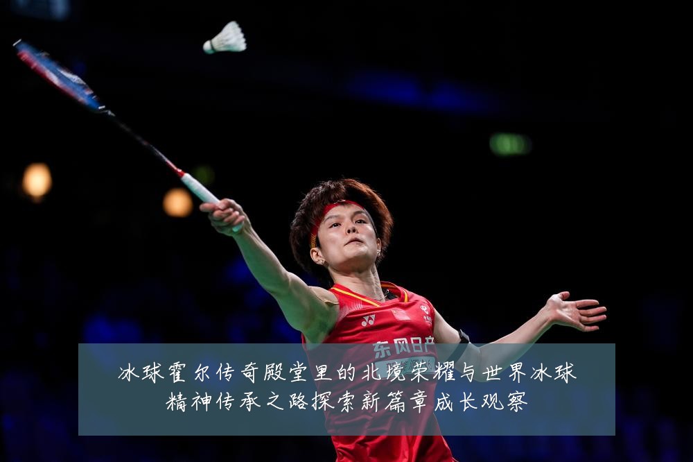 冰球霍尔传奇殿堂里的北境荣耀与世界冰球精神传承之路探索新篇章成长观察
